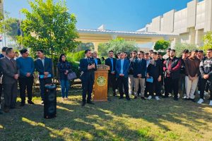 1000132782 1000132782