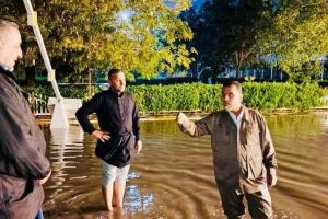 1000231843 1000231843